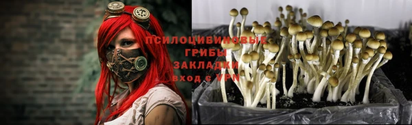 мяу мяу мука Беломорск