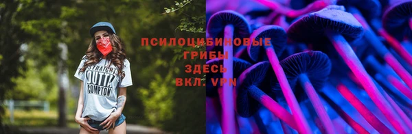 каннабис Белокуриха
