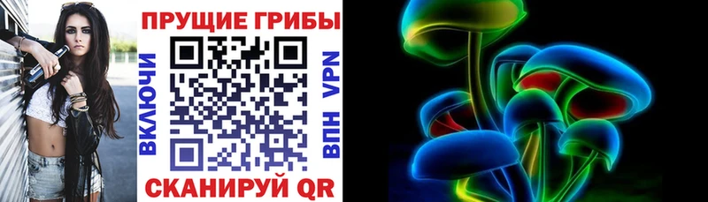 Галлюциногенные грибы Magic Shrooms  Светогорск 